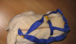 Ruksačik = psíček – fotka 3